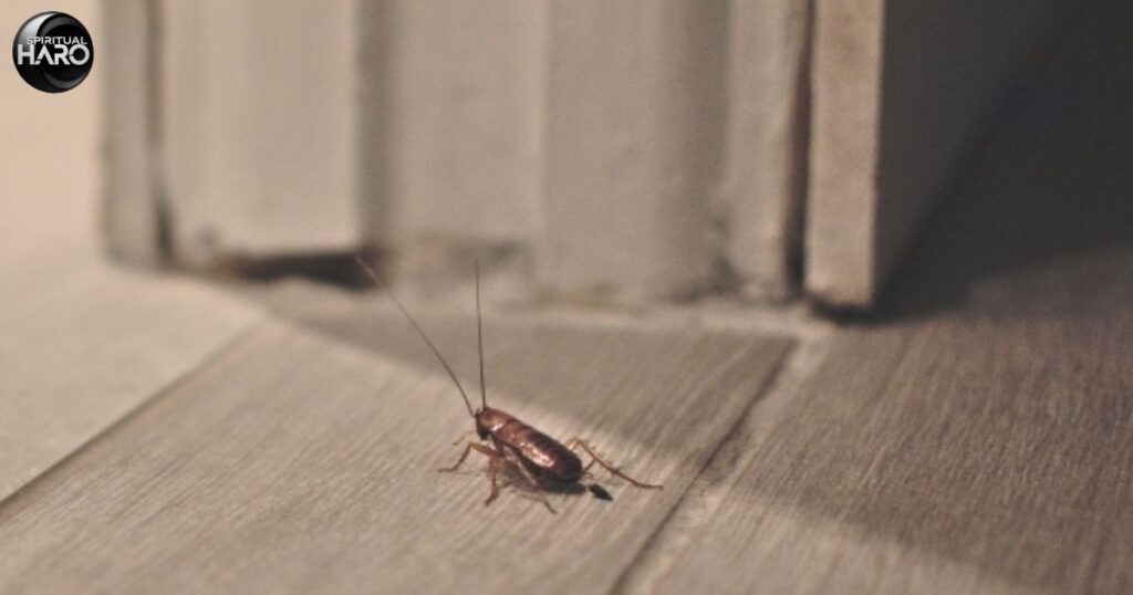 Spiritual Meaning of a Dead Cricket in the House (1)