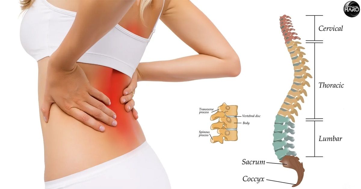 Lower Spine Pain Symptoms