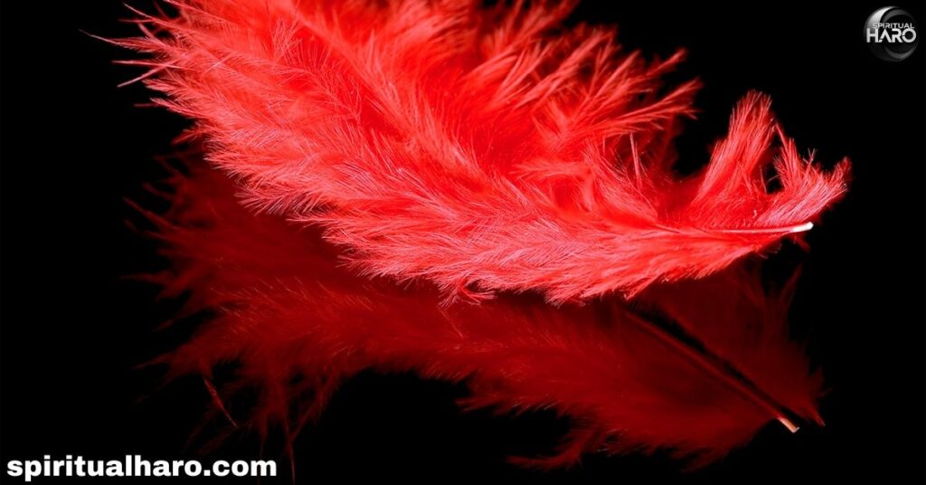 Red Feather in Native American Culture