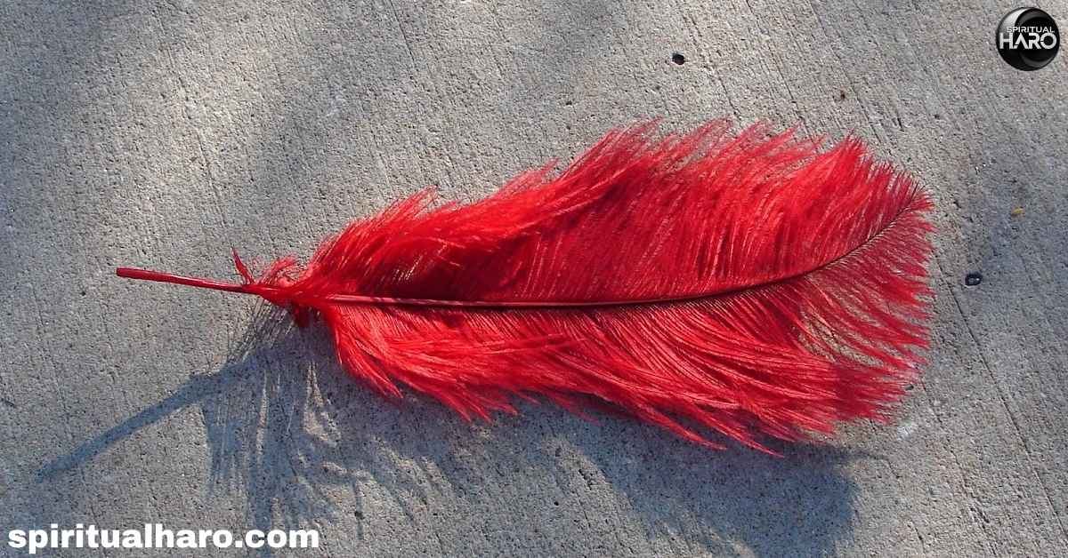 Spiritual Meaning of a Red Feather