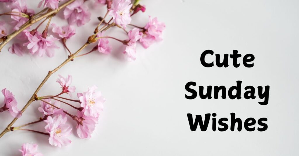 Cute Sunday Wishes