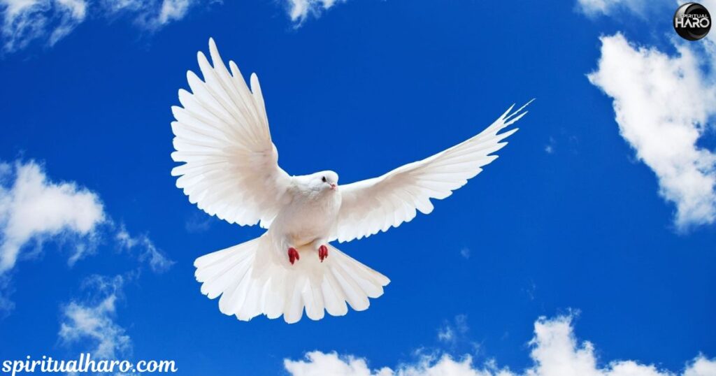 Different Cultures and Their Views on White Bird Spiritual Meaning