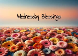 Wednesday Blessings