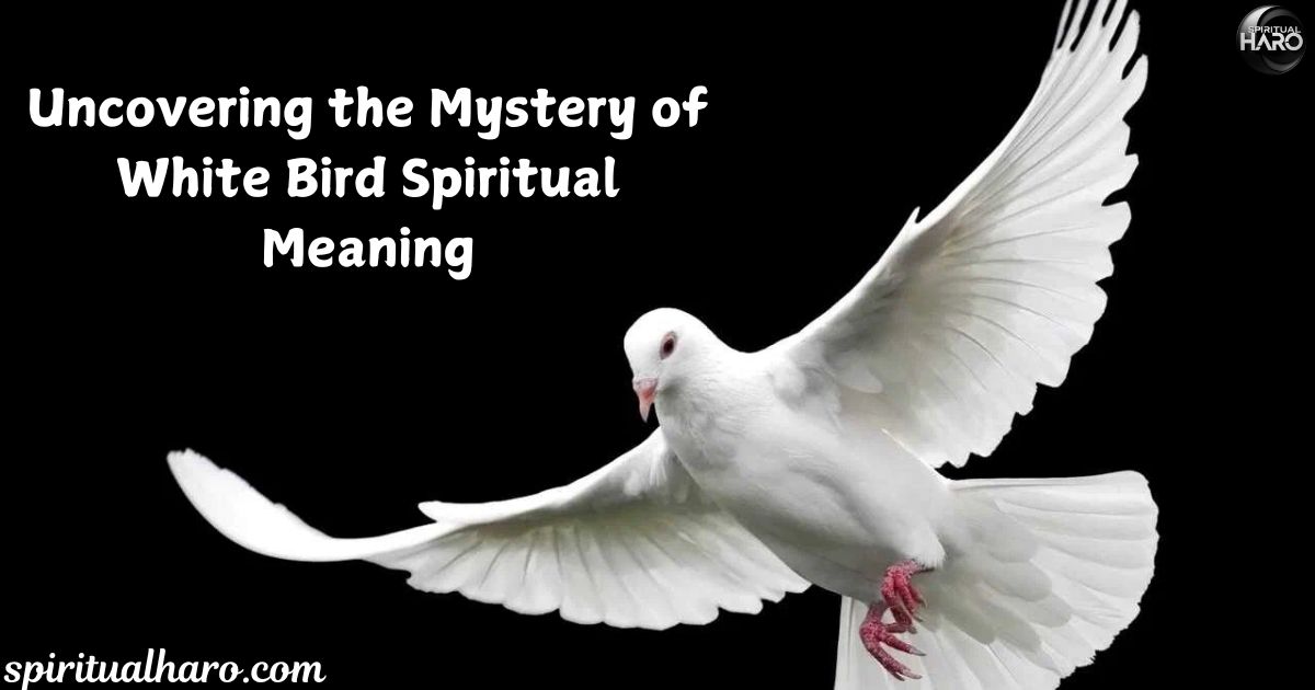 White Bird Spiritual Meaning