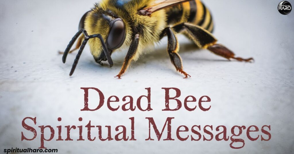 Dead Bee Spiritual Messages