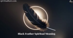 Black Feather Spiritual Meaning