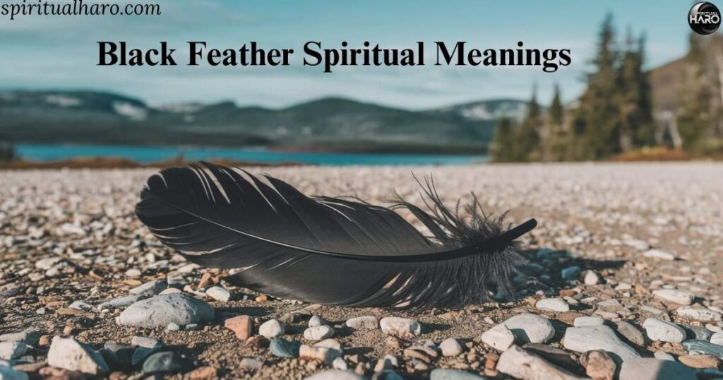 Black Feather Spiritual Meanings