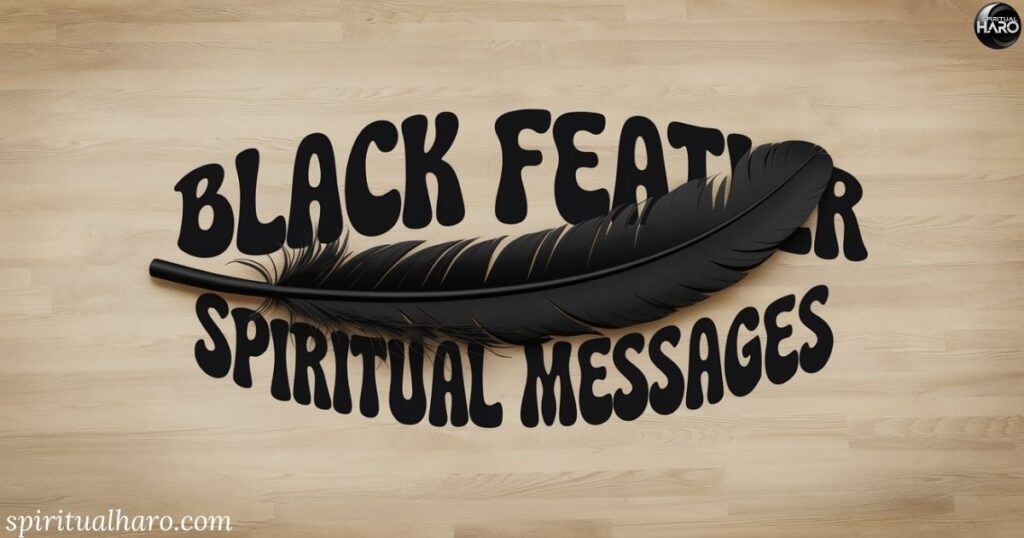 Black Feather Spiritual Messages