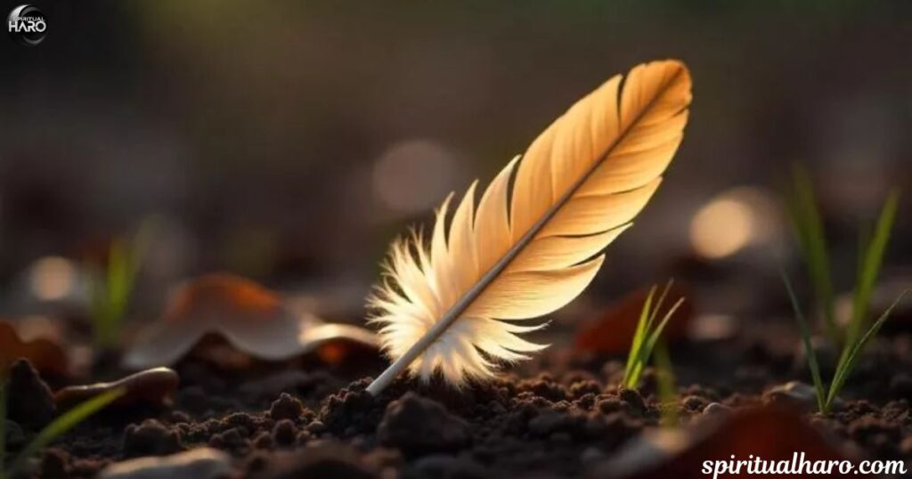 Brown Feather as a Sign of Divine Timing