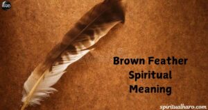 Brown Feather Spiritual Meaning