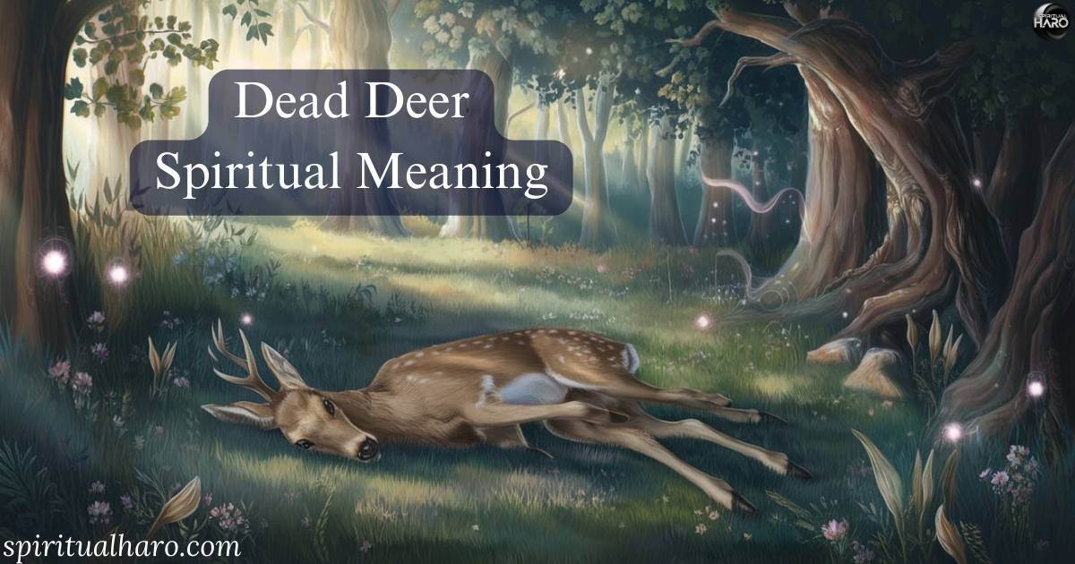 Dead Deer Spiritual Meaning