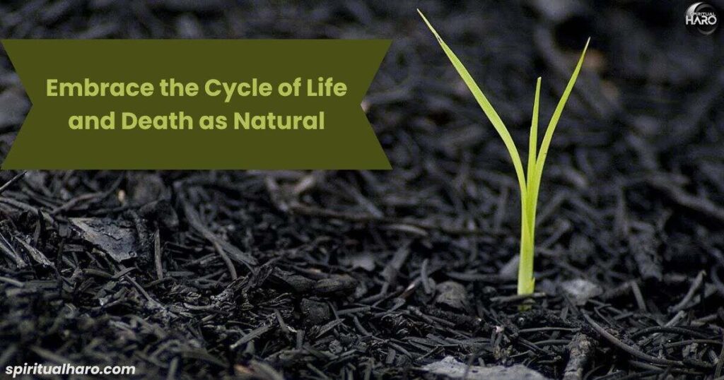 Embrace the Cycle of Life and Death as Natural