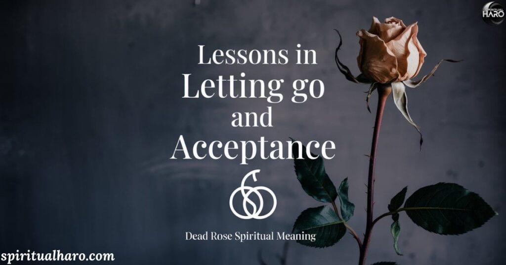 Lessons in Letting Go and Acceptance