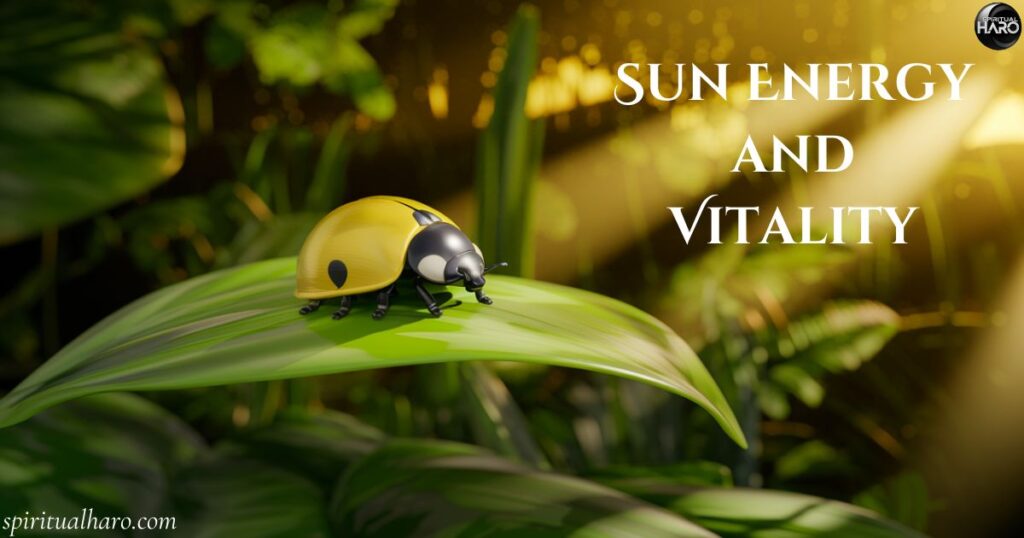 Sun Energy and Vitality