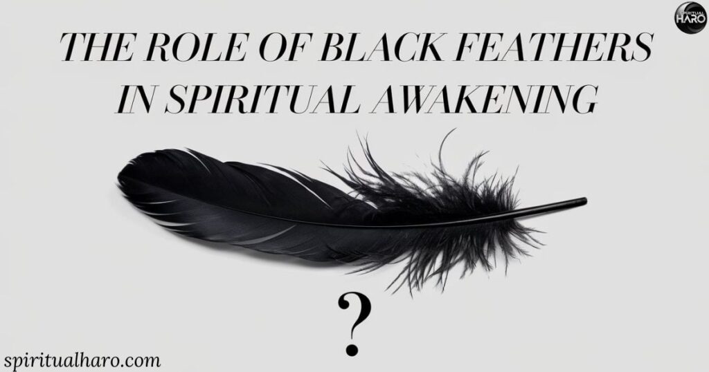 The Role of Black Feathers in Spiritual Awakening