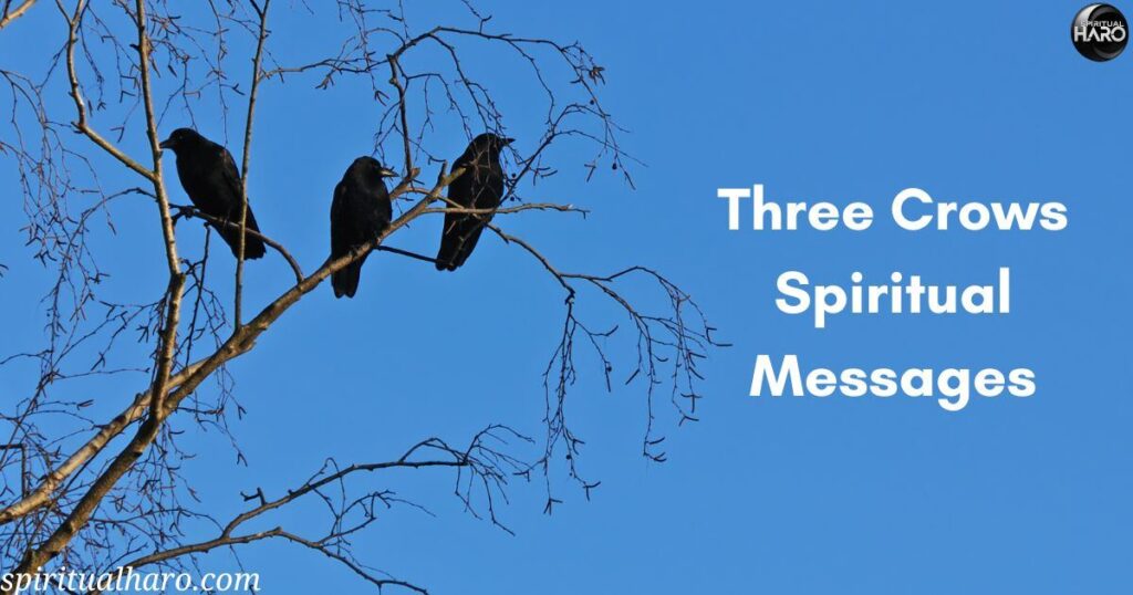 Three Crows Spiritual Messages