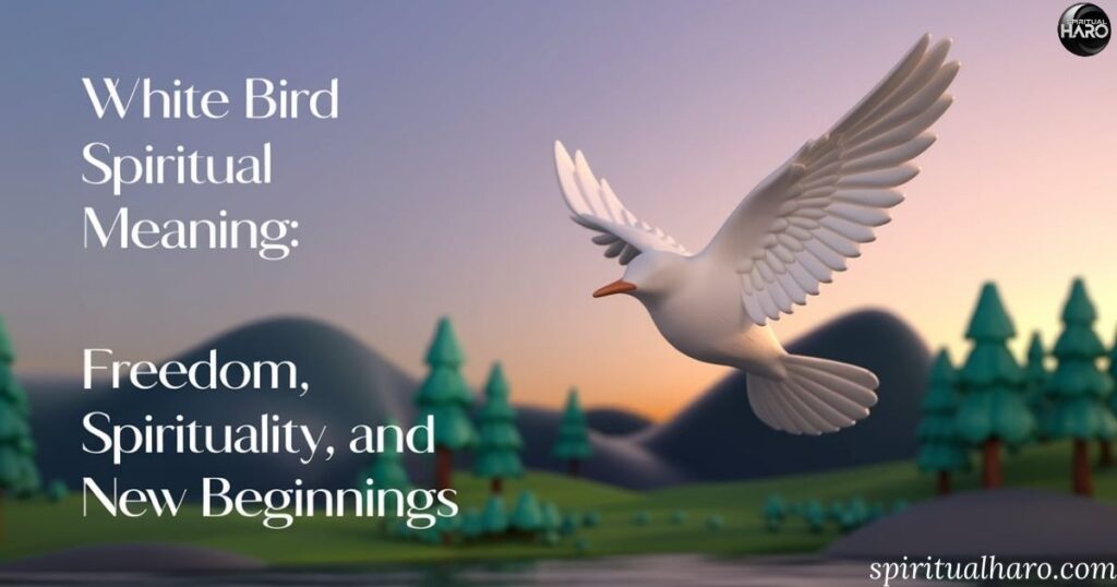 White Bird Spiritual Meanings