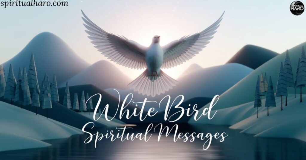 White Bird Spiritual Messages