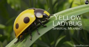 Yellow Ladybug Spiritual Meaning